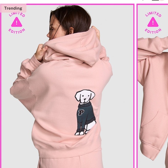 PINK Victoria’s Secret Ivy Fleece Campus Full-Zip Hoodie - Picture 2 of 10